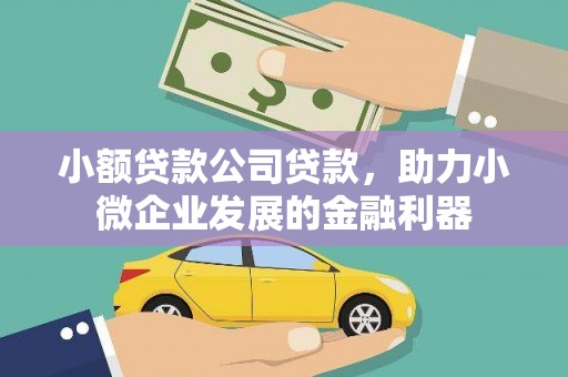 淡水小额贷款公司贷款，助力小微企业发展的金融利器