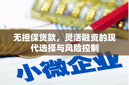 淡水无担保贷款，灵活融资的现代选择与风险控制
