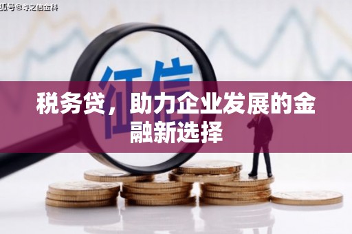 淡水税务贷，助力企业发展的金融新选择