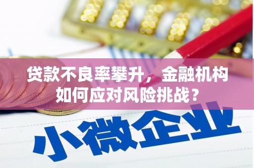 淡水贷款不良率攀升，金融机构如何应对风险挑战？