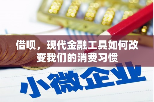 淡水借呗，现代金融工具如何改变我们的消费习惯