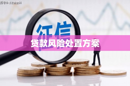 淡水贷款风险处置方案