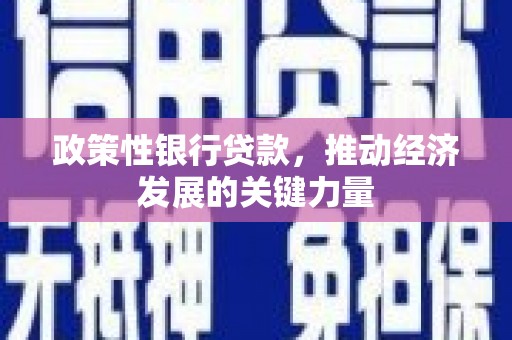 淡水政策性银行贷款，推动经济发展的关键力量