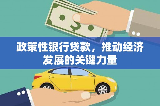 淡水政策性银行贷款，推动经济发展的关键力量