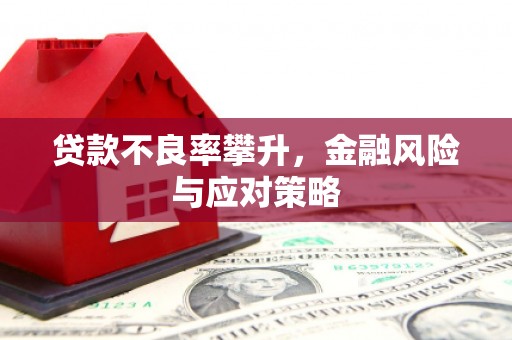 淡水贷款不良率攀升，金融风险与应对策略