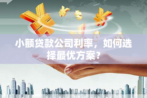 淡水小额贷款公司利率，如何选择最优方案？