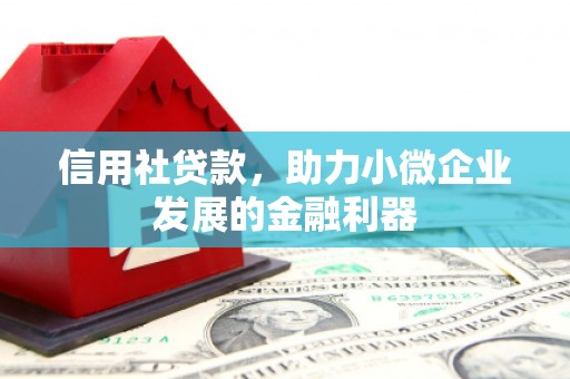 淡水信用社贷款，助力小微企业发展的金融利器