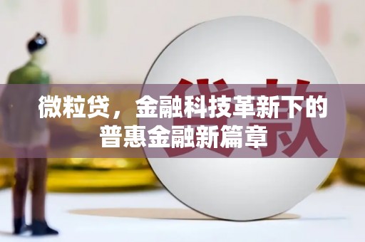 淡水微粒贷，金融科技革新下的普惠金融新篇章