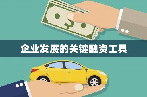 淡水企业发展的关键融资工具