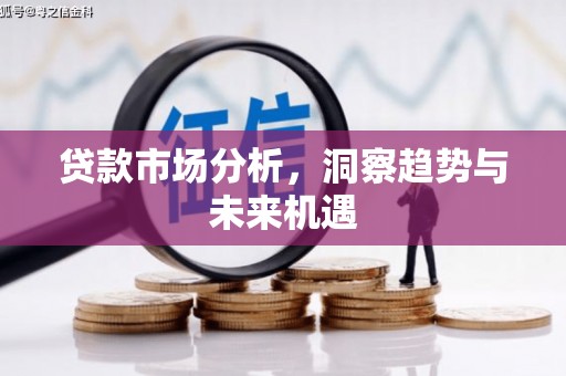 淡水贷款市场分析，洞察趋势与未来机遇