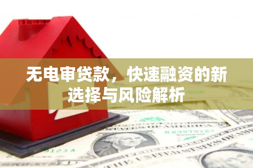 淡水无电审贷款，快速融资的新选择与风险解析