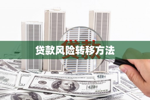 淡水贷款风险转移方法