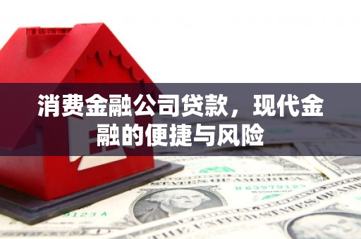 淡水消费金融公司贷款，现代金融的便捷与风险
