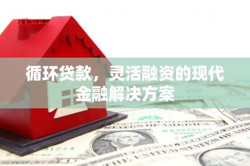 淡水循环贷款，灵活融资的现代金融解决方案