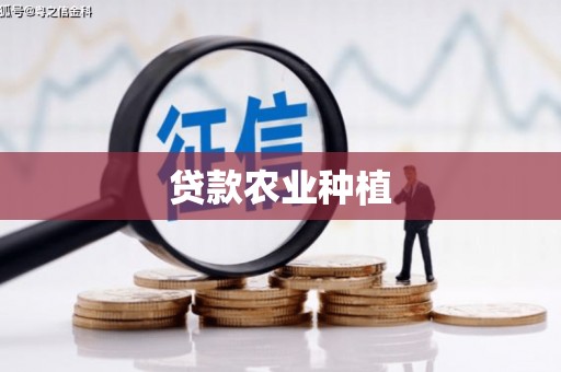 淡水贷款农业种植