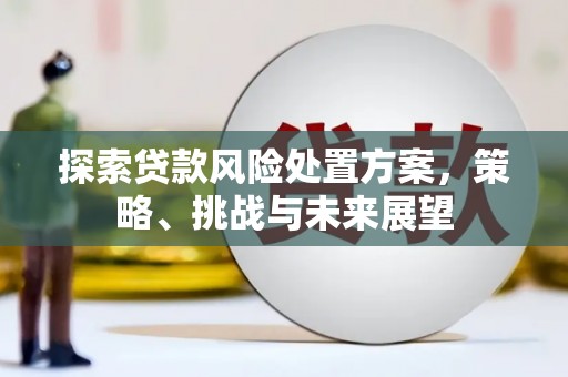 淡水探索贷款风险处置方案，策略、挑战与未来展望