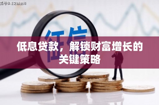 淡水低息贷款，解锁财富增长的关键策略