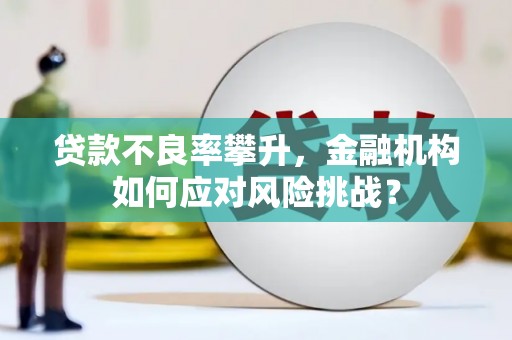 淡水贷款不良率攀升，金融机构如何应对风险挑战？