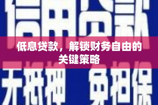淡水低息贷款，解锁财务自由的关键策略