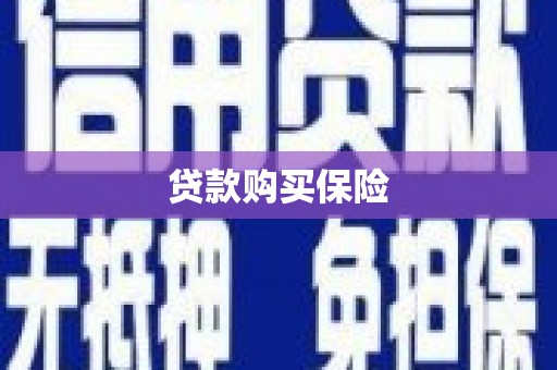 淡水贷款购买保险