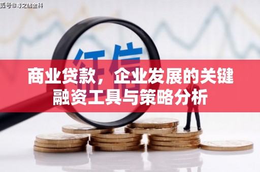 淡水商业贷款，企业发展的关键融资工具与策略分析