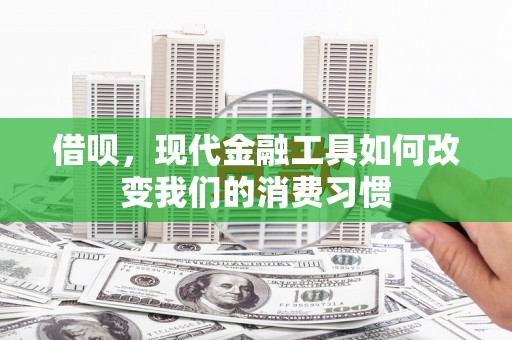 淡水借呗，现代金融工具如何改变我们的消费习惯