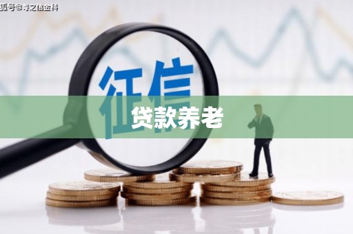 淡水贷款养老