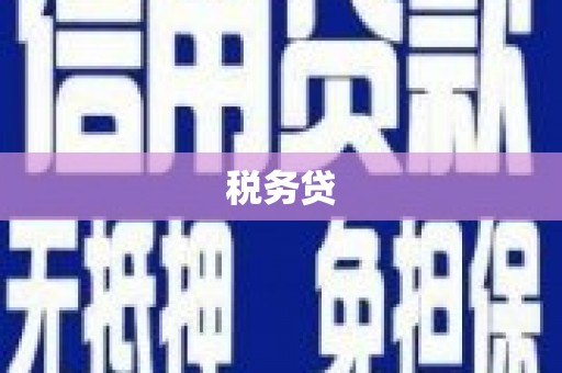 淡水税务贷