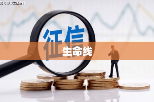 淡水生命线