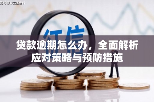 淡水贷款逾期怎么办，全面解析应对策略与预防措施