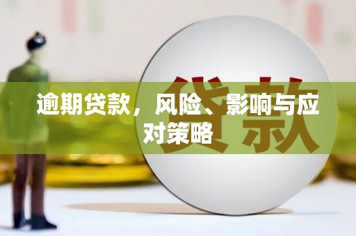 淡水逾期贷款，风险、影响与应对策略