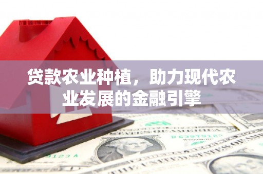 淡水贷款农业种植，助力现代农业发展的金融引擎