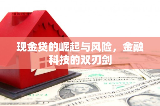 淡水现金贷的崛起与风险，金融科技的双刃剑