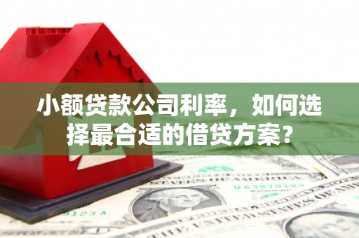 淡水小额贷款公司利率，如何选择最合适的借贷方案？