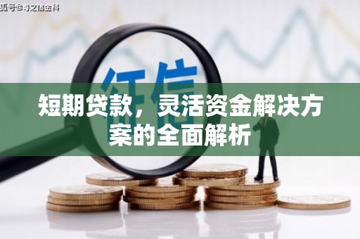 淡水短期贷款，灵活资金解决方案的全面解析