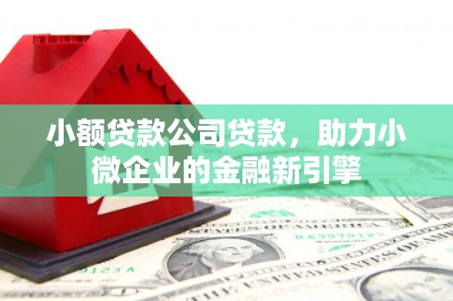 淡水小额贷款公司贷款，助力小微企业的金融新引擎