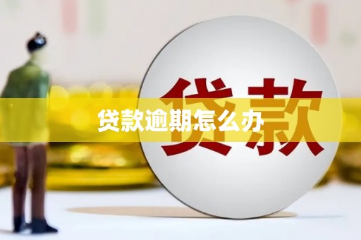 淡水贷款逾期怎么办