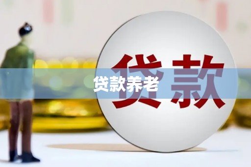 淡水贷款养老