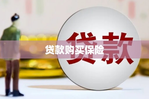 淡水贷款购买保险