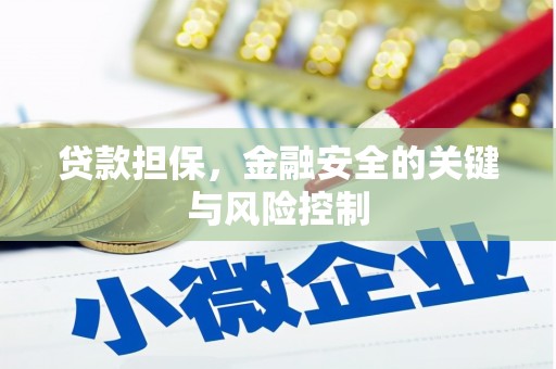 淡水贷款担保，金融安全的关键与风险控制