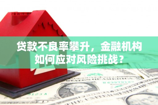 淡水贷款不良率攀升，金融机构如何应对风险挑战？