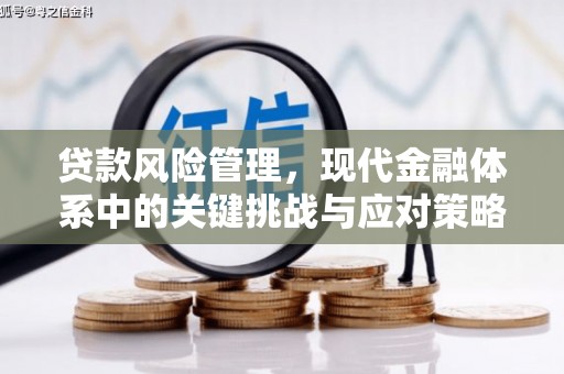 淡水贷款风险管理，现代金融体系中的关键挑战与应对策略
