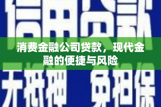 淡水消费金融公司贷款，现代金融的便捷与风险