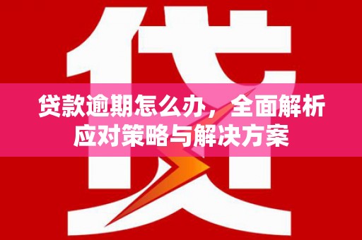 淡水贷款逾期怎么办，全面解析应对策略与解决方案